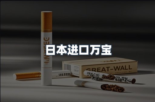 日本进口万宝